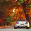 Honda S2000 Autumn Paint By Numbers