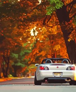 Honda S2000 Autumn Paint By Numbers