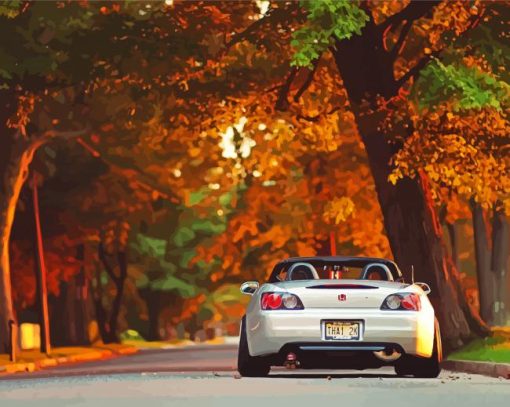 Honda S2000 Autumn Paint By Numbers