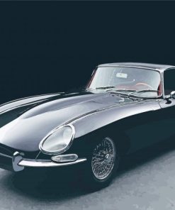 JaguarE Type Car Paint By Numbers