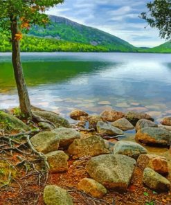 Jordan Pond Tarne In Maine Paint By Numbers