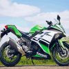 Kawasaki Ninja Bike Paint By Numbers