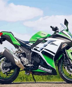 Kawasaki Ninja Bike Paint By Numbers