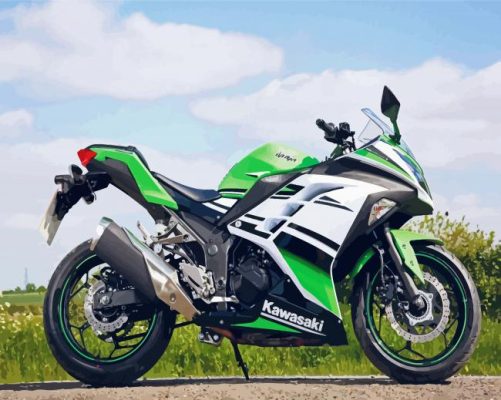 Kawasaki Ninja Bike Paint By Numbers