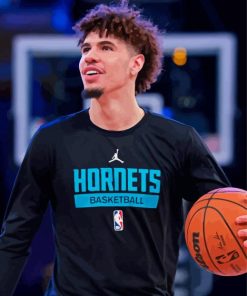 LaMelo LaFrance Ball Paint By Numbers