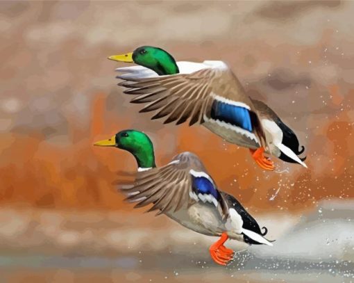 Mallard Ducks Birds Flying Paint By Numbers