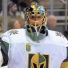 Marc André Fleury Ice Hockey Paint By Numbers