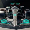 Mercedes AMG Petronas F1 Team Paint By Numbers