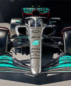 Mercedes AMG Petronas F1 Team Paint By Numbers