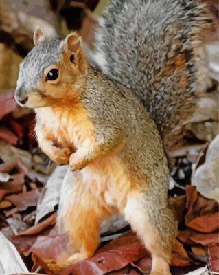 Mischievous Squirrel Animal Paint By Numbers