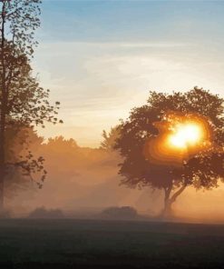 Misty Sunrise Trees Silhouette Paint By Numbers