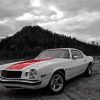 Monochrome 1977 Chevrolet Camaro Paint By Numbers