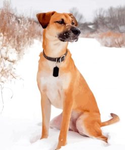 Mountain Cur Dogs Paint By Numbers