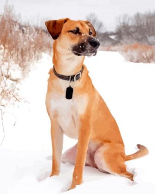 Mountain Cur Dogs Paint By Numbers