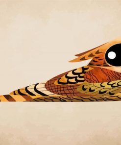 Nightjars Big Eyes Art Paint By Numbers