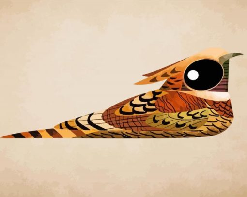 Nightjars Big Eyes Art Paint By Numbers