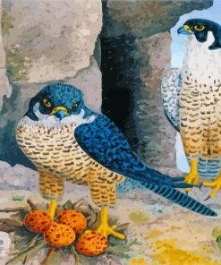 Peregrine Falcon Birds Paint By Numbers