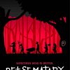 Pet Sematary Poster Art Paint By Numbers