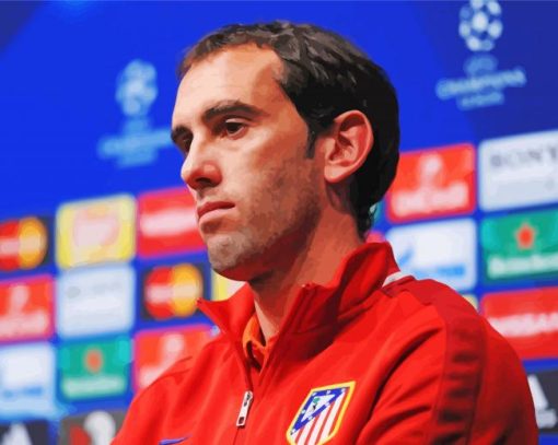 Player Diego Godín Paint By Numbers