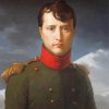 Portrait Of Napoleon Bonaparte By Marie Guillemine Paint By Numbers