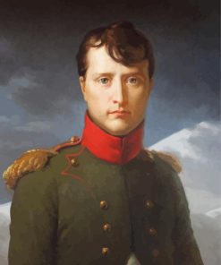 Portrait Of Napoleon Bonaparte By Marie Guillemine Paint By Numbers