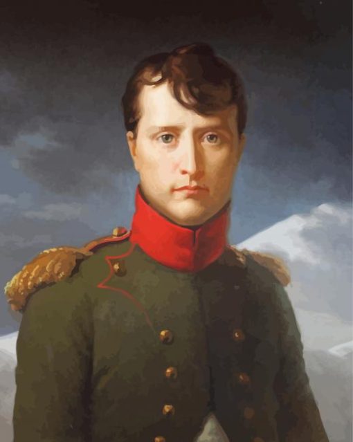 Portrait Of Napoleon Bonaparte By Marie Guillemine Paint By Numbers