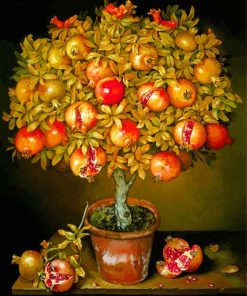 Potted Pomegranate Tree Paint By Numbers