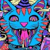 Psychedelic Cat Art Paint By Numbers