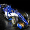 Sauber Car Paint By Numbers