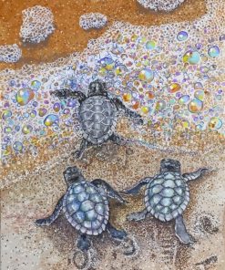 Baby Sea Turtles Paint By Numbers