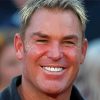 Shane Warne Cricketer Paint By Numbers