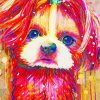 Splatter Colorful Shih Tzu Paint By Numbers