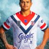 Sydney Roosters Player Paint By Numbers