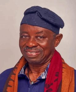 The Filmmaker Tunde Kelani Paint By Numbers