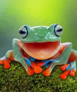 The Happy Frog Paint By Numbers