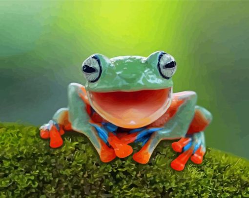 The Happy Frog Paint By Numbers