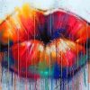 The Rainbow Lips Paint By Numbers