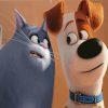 The Secret Life Of Pets Dog And Cat Characters Paint By Numbers