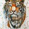 The Splash Tiger Paint By Numbers