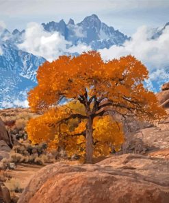 The Tree In Lone Pine California Paint By Numbers