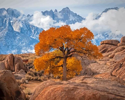 The Tree In Lone Pine California Paint By Numbers