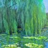 The Willow Tree Paint By Numbers