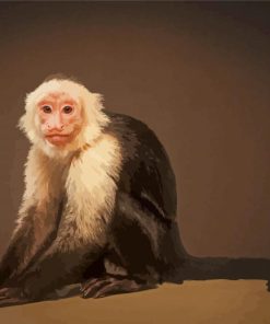 The Capuchin Monkey Paint By Numbers