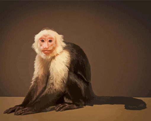 The Capuchin Monkey Paint By Numbers