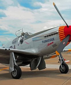 Tuskegee Airmen Plane Paint By Numbers