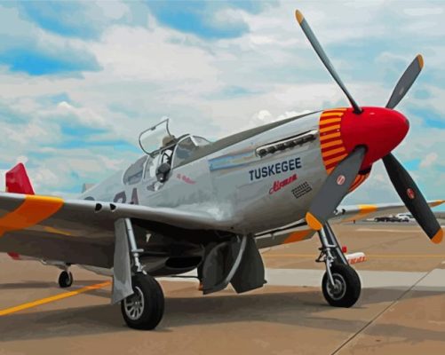 Tuskegee Airmen Plane Paint By Numbers