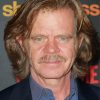 William H. Macy American Actor Paint By Numbers