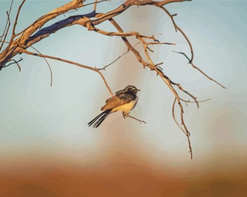 Willie Wagtail On A Tree Paint By Numbers