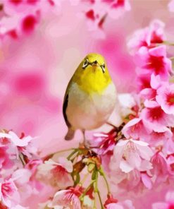 Yellow Bird And Pink Flowers Paint By Numbers