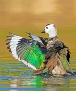 Aesthetic Cotton Pygmy Goose Paint By Numbers